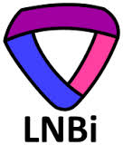 Illustration Dutch logo for bisexuality - with text - 2010 - small