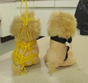 rope bondage
