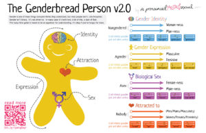 genderbread kit